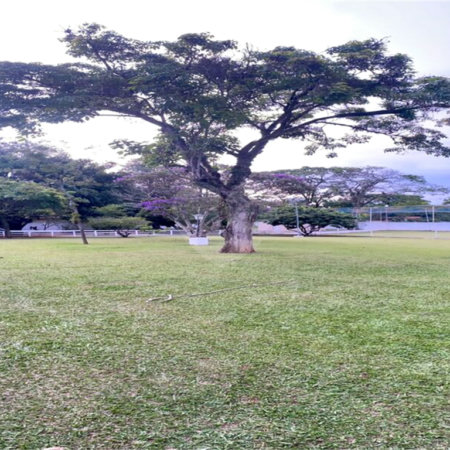 Excelente Chácara à Venda em Itupeva/SP – Próxima a Indaiatuba
