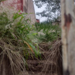 Terreno com 421 m², localizado no centro de São Carlos