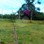 Terreno em Água Vermelha