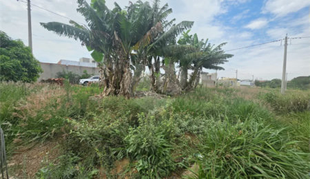 Terreno à venda em Residencial Arcoville, São Carlos, SP