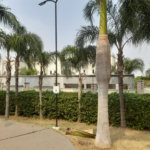 Excelente apartamento à venda no Condomínio Monte D’Oro