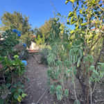 Terreno á venda na Vila Prado com 250m2, em São Carlos.