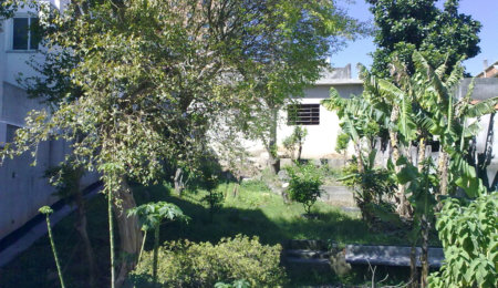 Terreno à venda ou para alugar em Parque das Nações, Santo André, SP