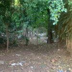 Terreno com 1.000,00 m²