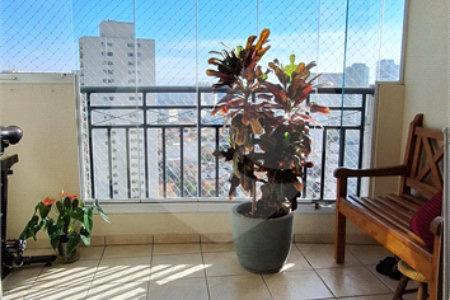 3 Dormitórios - 1 Suíte - 2 Vagas