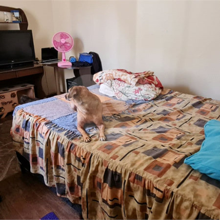 Casa térrea para venda em Araraquara.
