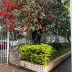 Apartamento à venda com 2 quartos em Vila Madalena, São Paulo, SP