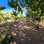 Chácara à Venda 4.305m² de área – Arrace de Santo Antônio II – São Carlos/SP