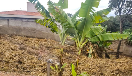 Terreno à venda em Solário da Mantiqueira, São João da Boa Vista, SP