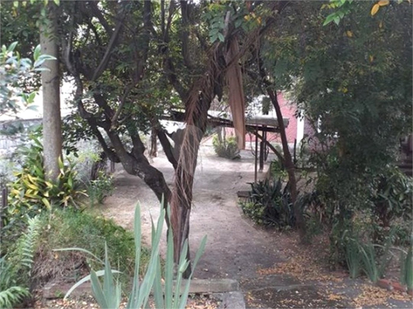 Casa Térrea à venda com 6 quartos, sendo 1 suíte, em Pirituba, São Paulo, SP