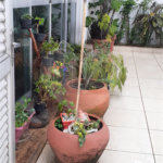 Sobrado a venda - Chácara Klabin