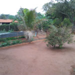Chácara em Araraquara/SP.