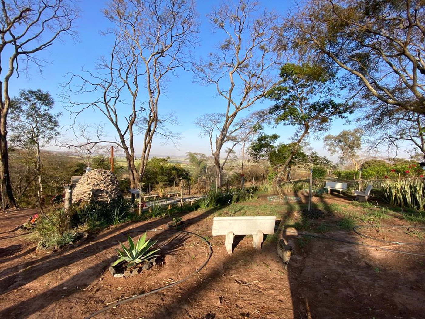 Sítio na cidade de Taiuva-SP.
