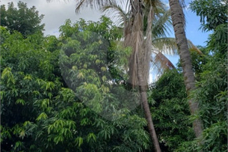 Sitio para venda.