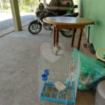 Chácara à venda com 4 quartos em Área Rural de Louveira, Louveira, SP