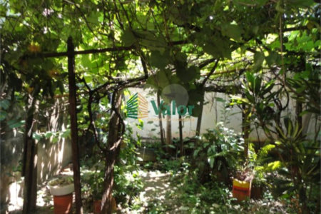 Cada térrea
