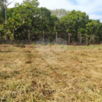 Chácara à venda em Tanquinho - Piracicaba/SP.