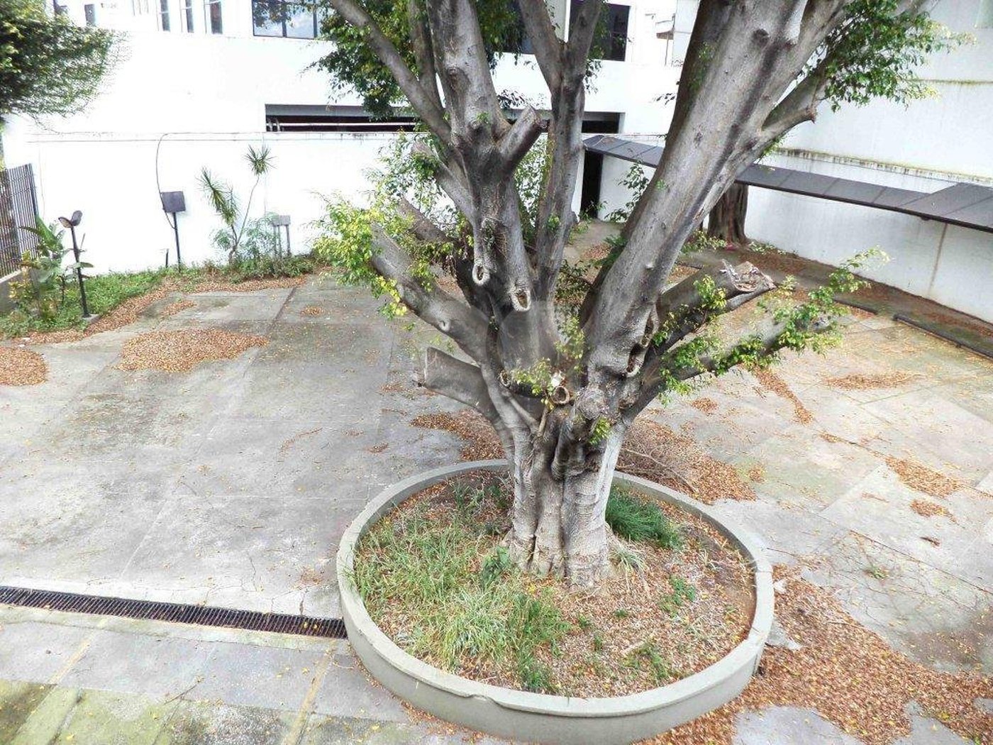 Prédio à venda ou para alugar em Planalto Paulista, São Paulo, SP