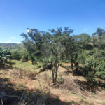 Área rural em Piracaia com 3.289 metros, ótima para chácara, as margens do rio Cachoeira