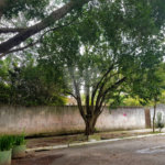 Terreno à venda em Jardim Campo Grande, São Paulo, SP