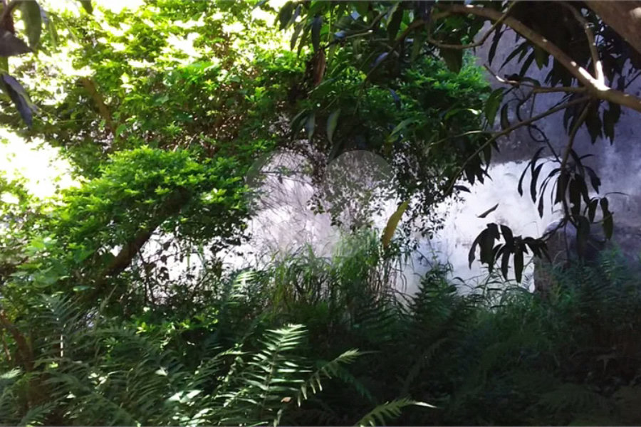 Terreno para alugar em Água Fria, São Paulo, SP