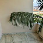 Casa à venda ou para alugar com 5 quartos, sendo 2 suítes, em Jardim Dos Estados, Poços de Caldas - MG