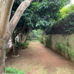 Apartamento à venda com 2 quartos, sendo 1 suíte,  em Jardim Aeroporto, São Paulo, SP
