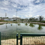 Belíssima Casa à Venda no Condomínio Damha IV
