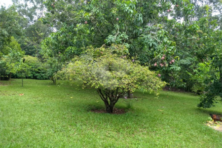 Chácara a venda no Residencial Planalto Serra Verde em Itirapina