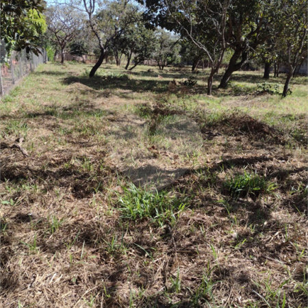 Terreno no Aracê de Santo Antonio.
