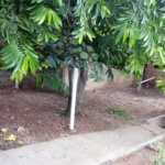 Terreno com 586,00 m² de área total na Vila Costa do Sol.