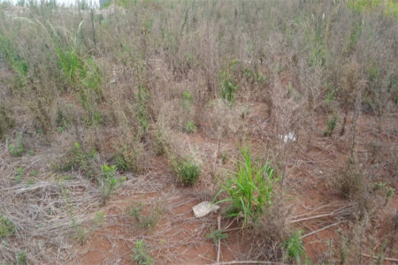 Lote no Jardim do Bosque, aceita financiamento ou aquisição de terreno e construção .