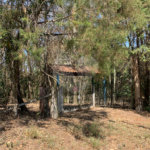 Chácara - São Carlos