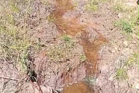 Fazenda à venda com 2 quartos no Centro, Estreito, MA