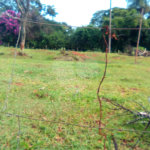 Terreno em Água Vermelha