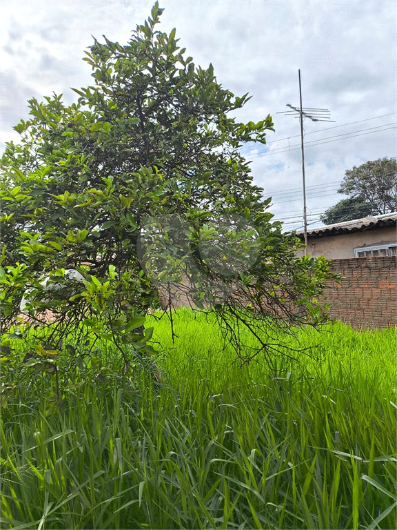 Terreno no Jardim Pacaembú