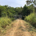 SITIO PARA VENDA COM 13.637 M² EM ARARAQUARA/SP.