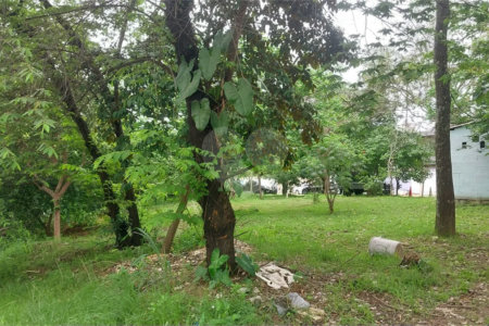 CONDOMÍNIO VALE DAS PALMEIRAS - CASA 3 QTOS + SUITE + PISCINA + GARAGEM 4 CARROS + ENERGIA SOLAR