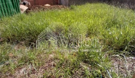Terreno à venda em Parque dos Flamboyant, São Carlos, SP