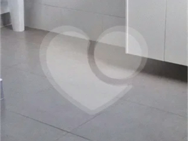 Apartamento para alugar com 1 quarto em Santana, São Paulo, SP