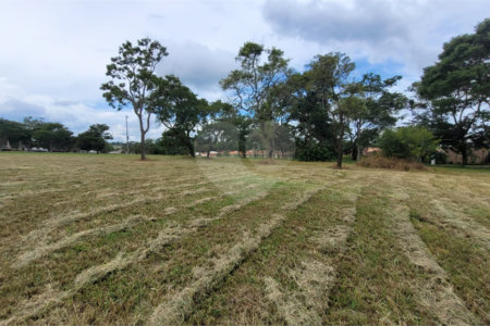 Loteamento Residencial no Condomínio Vila Pinhal do Broa.