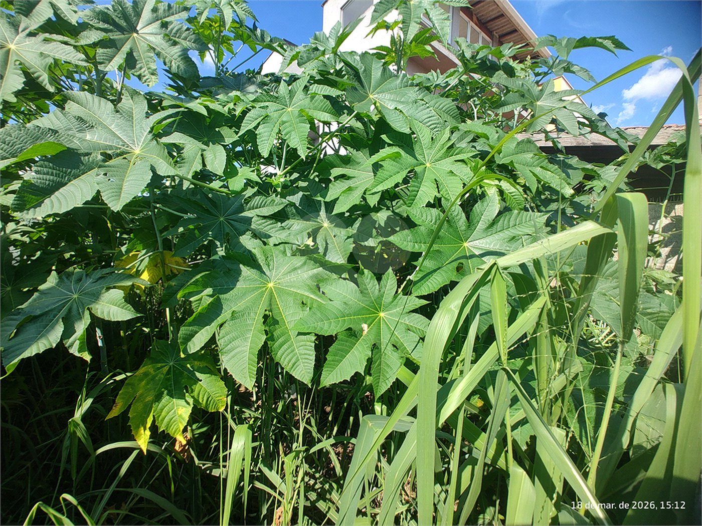 Terreno em Atibaia com 175 metros, projeto aprovado, pronto para construir