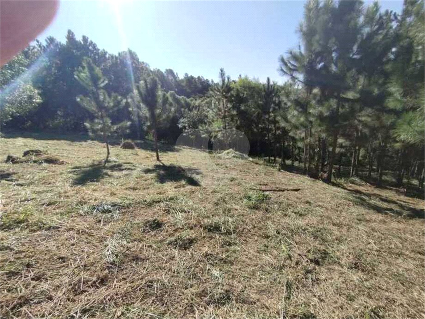 Fazenda Elisa / Atibaia