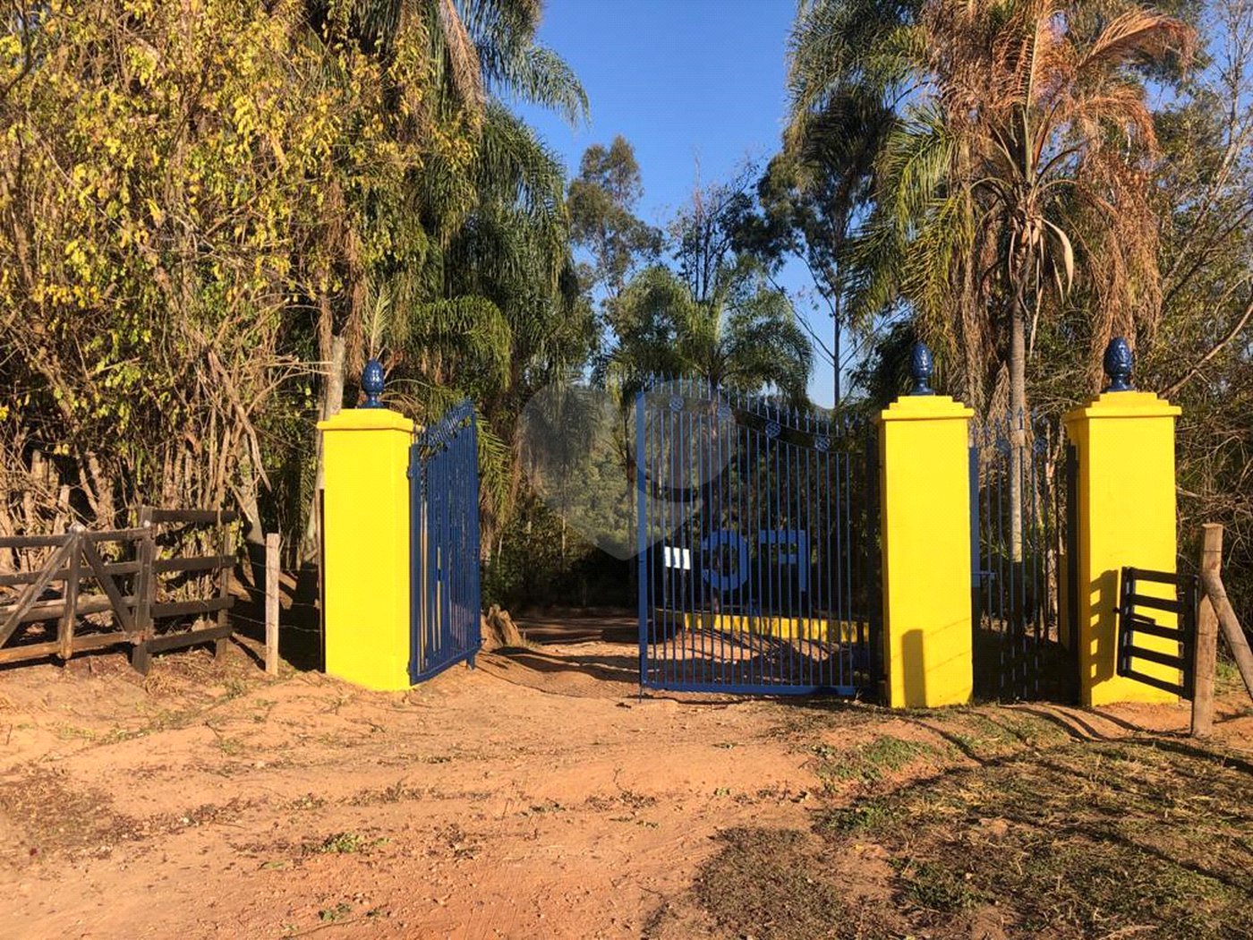 Fazenda com pasto a venda em Morungaba