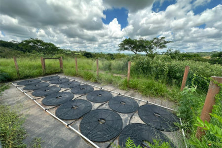 Sítio á venda - 6,6 Hectares
