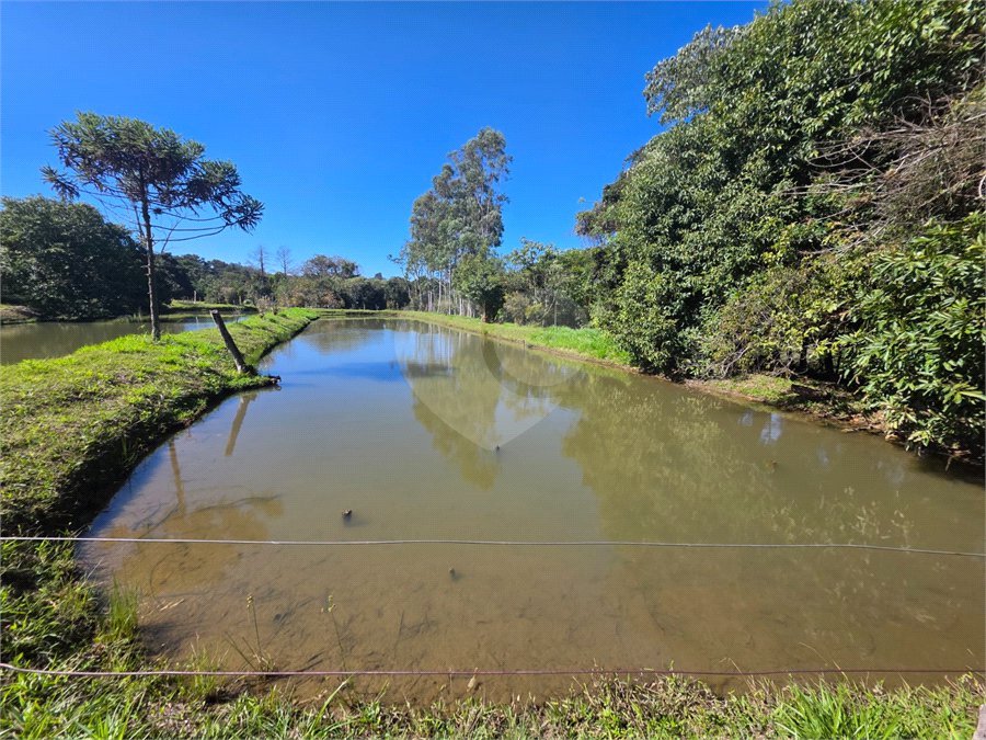 Sitio Granjeiro região de Água Vermelha 6,5 Alqueires (16,5 Hectares)