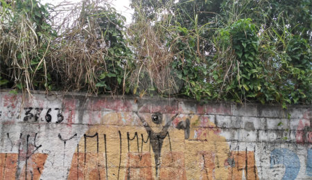 Terreno à venda em Tucuruvi, São Paulo, SP