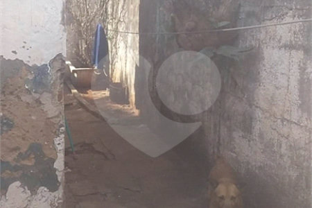 Imóvel para demolição na Vila Izabel