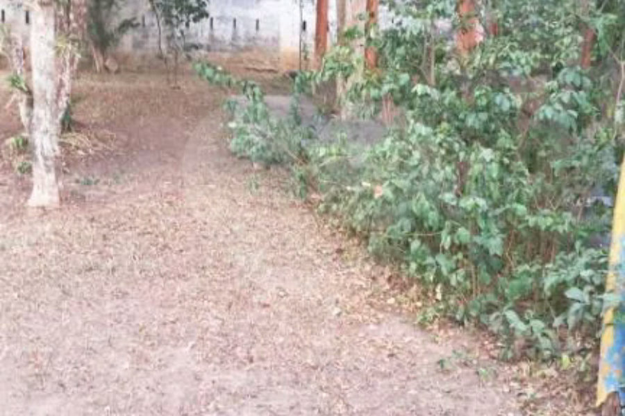 Casa á venda - Jabaquara