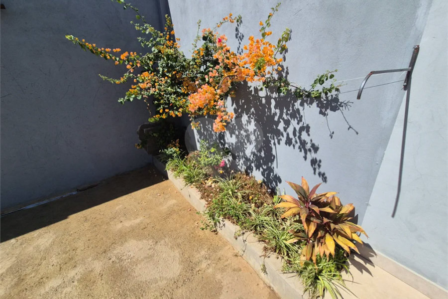 Dois imóveis em um terreno de 300 m² (12 x 25) - Com acesso independente